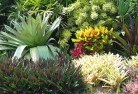 Carramar NSWplanting-garden-and-landscape-design-24.jpg; ?>