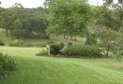 Carramar NSWplanting-garden-and-landscape-design-51.jpg; ?>